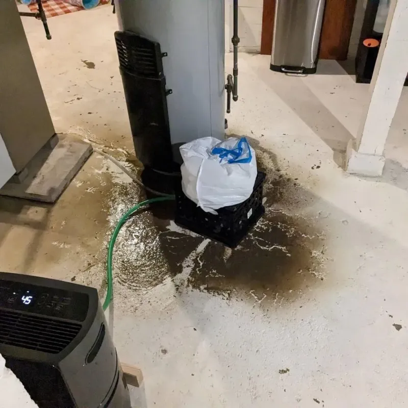 Sewage Backup Cleanup Service in Gordon, NE